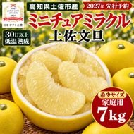土佐文旦 ミニチュアミラクル 7kg 家庭用 超小玉 日本ギフト大賞受賞 文旦発祥の地 園主こだわり 希少サイズ 小玉よりさらに小さい 高知県土佐市産 高知県産 国産 7キロ ぶんたん みかん 柑橘類 高級フルーツ 果物 産地直送 お取り寄せ ギフト 先行予約 やの一果彩[BQAC027]