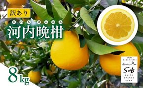 【先行予約】Saito Orange Farmの訳あり河内晩柑8kg ｜ 柑橘 みかん ミカン フルーツ 果物 愛媛　※2025年6月上旬頃より順次発送予定