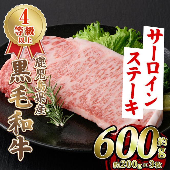 鹿児島県産 黒毛和牛 4等級以上 サーロイン ステーキ (約600g・約200g×3枚) 国産 牛肉 サーロイン ステーキ 4等級 バーベキュー BBQ おかず 冷凍 ステーキ肉 お肉 大判 個包装 【スターゼン】akn042-69
