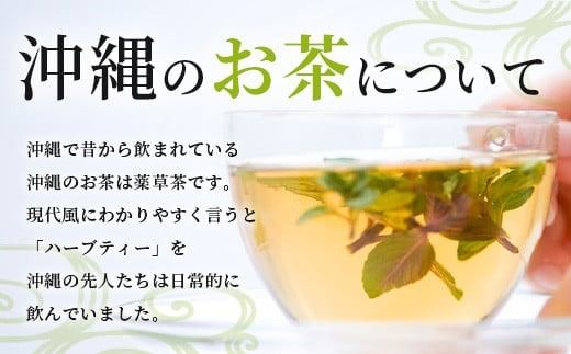 太陽の茶（12種類ブレンド）【 沖縄 石垣島 お茶 ハーブ ティー 無農薬 】HR-1