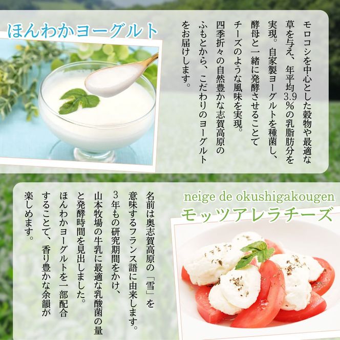 志賀高原で育った ほんわかヨーグルト・チーズセット 乳製品 加工食品 
