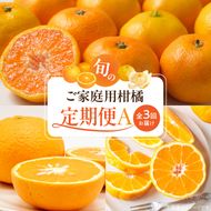 G60-T97_【発送月固定定期便】魚鶴自慢のご家庭用柑橘セット(みかん・不知火・清見)全3回