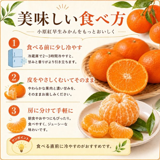 小原紅早生みかん　約5kg 果物類 柑橘類 フルーツ 