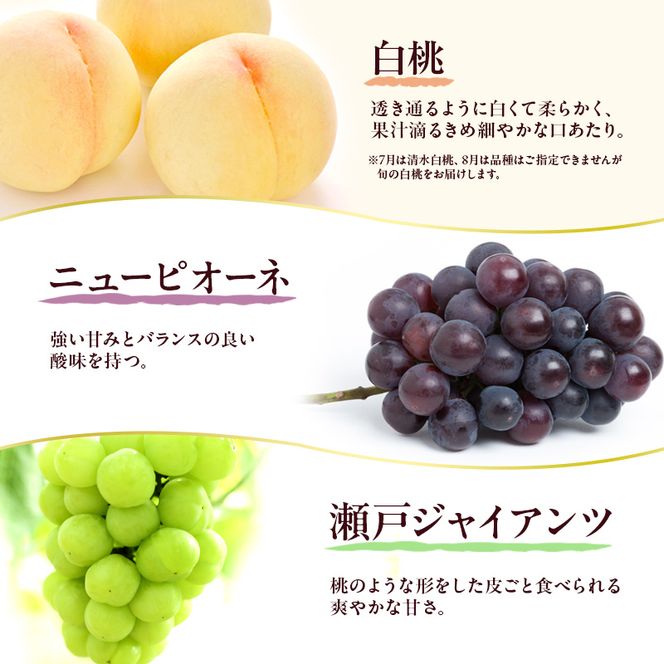 フルーツ 定期便 2026年 先行予約 フルーツ王国 岡山を堪能 6回コース 夏・秋・冬物語 桃 もも 葡萄 ぶどう 梨 なし岡山県産 国産 果物 セット ギフト 瀬戸ジャイアンツ シャインマスカット 晴王 紫苑 