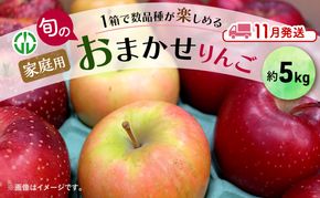 りんご 【 11月発送 】 家庭用 旬のりんご 品種おまかせ 約 5kg 2品種～4品種 果物類 フルーツ 林檎 リンゴ 鶴田町 青森県 おやつ デザート