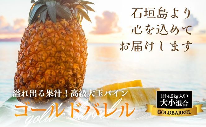 【高級パイン】沖縄県　石垣島産　ゴールドバレル　5キロ(5-6玉) 高級パイン】沖縄県 石垣島産 ゴールドバレル 5キロ(5-6玉) Amazon.co