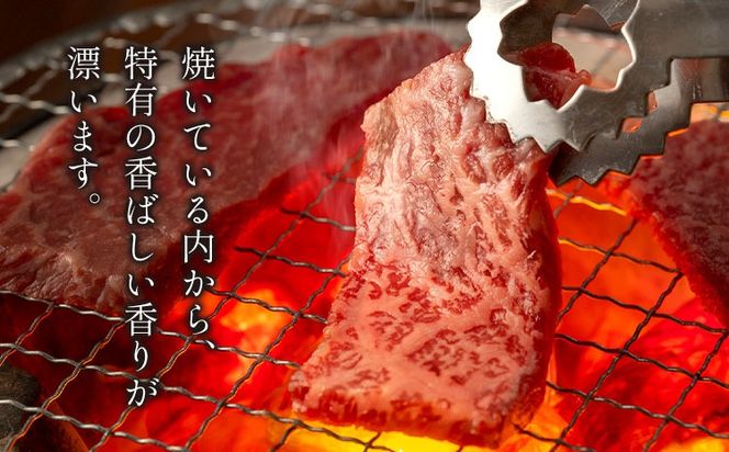 セット1.3kg(霜降り650g+赤身650g) 数量限定 牛肉 冷凍 黒毛和牛 切り落とし 《30日以内に出荷予定(土日祝除く)》 個別 取分け 小分け 個包装 赤身 霜降り 岡山県 笠岡市 牛 牛肉 和牛 焼肉 焼き肉 小分けパック 325g 送料無料---223_f1206_30d_25_23000_13---