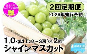 【2026年先行予約】【２回定期便】頬張る幸福感 ～緑の宝石・シャインマスカット～ 計２kg（1.0kg以上・2～3房を２回[9月上旬・下旬]お届け）※冷蔵発送※　シャイン シャインマスカット ぶどう 葡萄 ブドウ 定期便 ２回 果物 くだもの フルーツ 山梨 やまなし 富士川町 シャインだけ シャインマスカットだけ