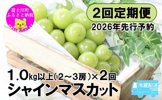 yRxm쒬zy2026Ns\zyQցzjK `΂̕΁EVC}XJbg` vQkgi1.0kgȏE2`3[Q[9{E{]͂j①@VC VC}XJbg Ԃǂ  uhE  Q ʕ  t[c R 