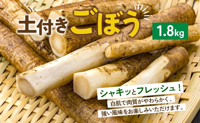 数量限定 根菜3種セット 計8.6kg 土付き 長芋 5kg 土付き ごぼう 1.8kg じゃがいも 1.8kg 先行予約 2026年11月下旬～12月下旬までのお届け 野菜 詰め合わせ 根菜 常温 青野農園 北海道 洞爺湖町