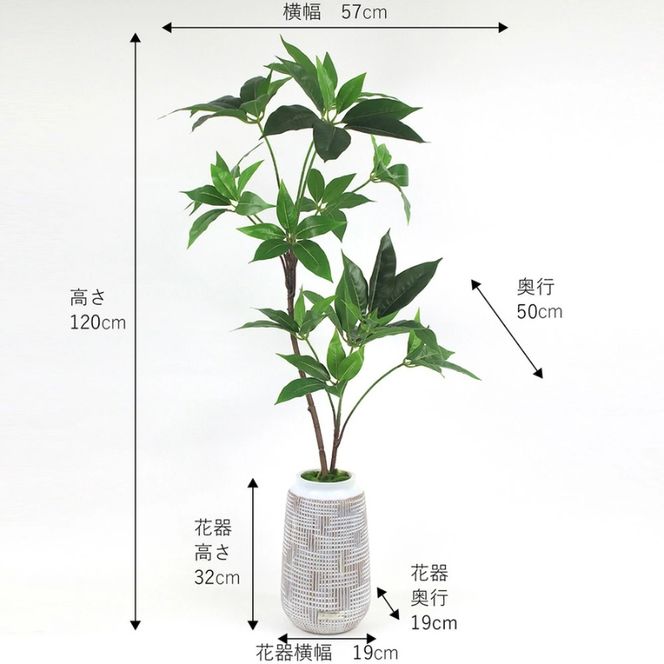 アートフラワー エミリオ・ロバ ツピタンサス TUTTA03350