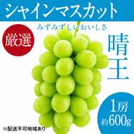 ぶどう 2026年 先行予約 シャイン マスカット 晴王 1房 約600g ブドウ 葡萄  岡山県船穂産 国産 フルーツ 果物 ギフト デザート 食後 酸味が少ない 産地直送