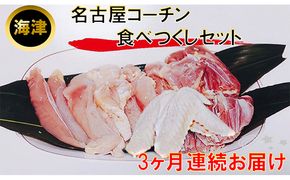 【3ヶ月連続お届け】名古屋コーチン もも・むね・ささみ合計2.4kg +手羽先6本 お肉 鶏肉 ムネ 3カ月 3回 