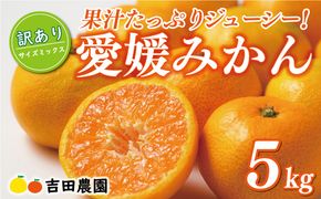 先行予約 訳あり 愛媛みかん 5kg 10000円 愛媛 みかん 温州みかん こたつ みかん mikan 蜜柑 ミカン 家庭用 産地直送 国産 農家直送 糖度 期間限定 数量限定 特産品 ゼリー ジュース アイス 人気 限定 甘い フルーツ 果物 柑橘 先行 事前 予約 受付 ビタミン 美味しい おいしい サイズ ミックス 吉田農園 愛南町 愛媛県