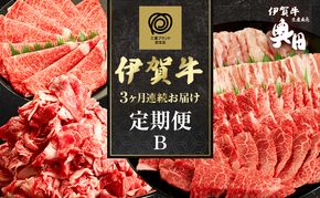 伊賀牛 3ヶ月連続お届け 定期便 B [ 伊賀牛切り落とし すき焼きセット 焼肉セット5人盛り ] オクダ 牛肉 高級 和牛 肉 伊賀牛肉 伊賀 人気 自宅用 グルメ お取り寄せ 誕生日 お祝い ご馳走 パーティー 贅沢 三重 三重県