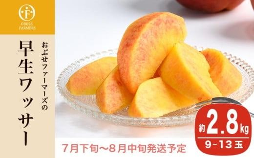 早生ワッサー 約2.8kg 9～13玉 ［おぶせファーマーズ］果物 フルーツ クール便 冷蔵便 長野県産 信州産 令和7年産【2025年7月下旬〜8月中旬発送】 ［F-38］