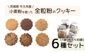 茨城県 牛久市産 小麦粉 使用 全粒粉 の クッキー 6種 ( 30袋 ) セット 詰合せ 全粒粉 クッキー 焼き菓子 お菓子 スイーツ ココア チョコ ごま みそ 落花生 子ども おやつ おつまみ [BD008us]