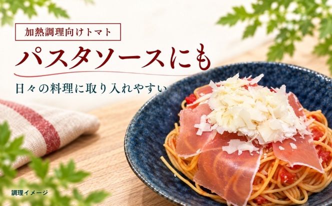 【2027年先行予約】山梨県都留市産 加熱用トマト サンマルツァーノ 約1kg