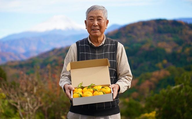 【２０２６年発送分】富士川町産 ゆず 約３kg　産地直送 穂積の柚子 マーマレードにも 柚子 ユズ 山梨 やまなし 富士川町【A5403】
