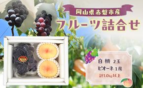 桃 ぶどう 2026年 数量限定 岡山 白桃 2玉 ピオーネ 1房 詰合せ 計1.0kg以上