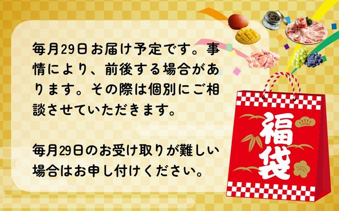 【定期便・全12回】新春おたのしみ 福袋 竹（牛肉 豚肉 鶏肉 果物 フルーツ 2026 限定 定期便 宮崎 小林市）