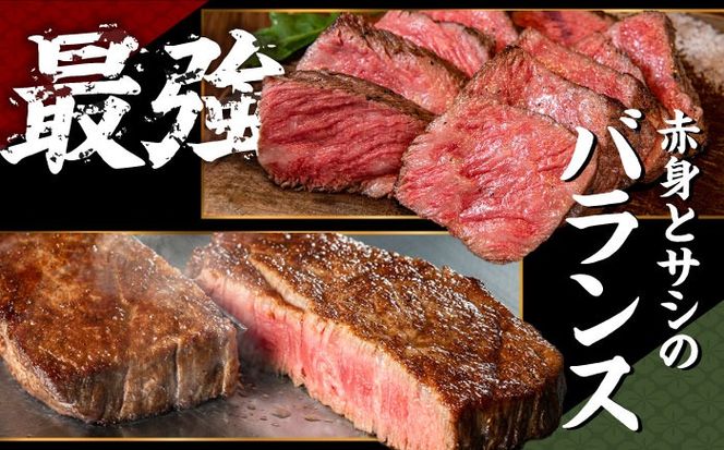 【A4ランク以上】長崎和牛 サーロインステーキ 360g（180g×2枚）/ 和牛 にく 牛肉 サーロイン 国産 真空 / 南島原市 / ミカド観光センター[SEC004]