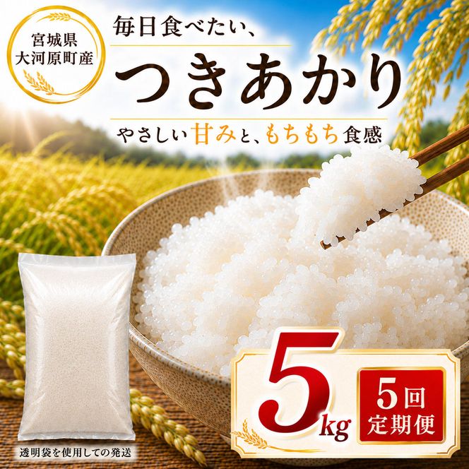 つきあかり 定期便 5回/5kg×1袋 令和8年産 新米 ブランド米 白米 精米 【小分け】 宮城県大河原町産