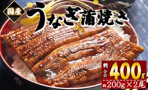 うなぎ蒲焼き 計400ｇ 約200g×2尾 国産 養殖 (愛知県産鰻) 鰻 ウナギ かばやき fb-0138