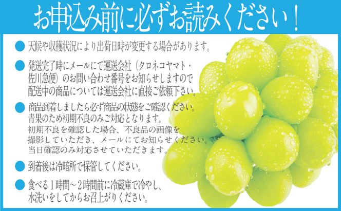 2026年 先行予約受付中 シャインマスカット晴王1房 約700g 岡山県産 種無し 皮ごと食べる みずみずしい 甘い フレッシュ 瀬戸内 晴れの国 おかやま 果物大国 ハレノフルーツ