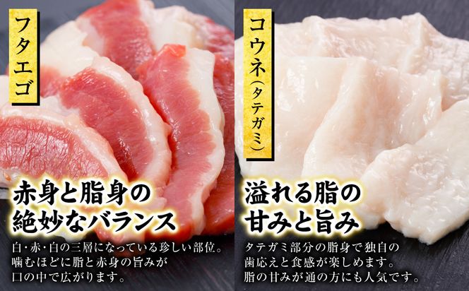 国産 馬刺し 6種 計280g （ 上赤身 、 ロース 、 中トロ 、 大トロ 、 フタエゴ 各50g コウネ 30g ） 馬肉 馬 肉刺し 生食 刺身 冷凍 郷土料理 熊本県 八代市