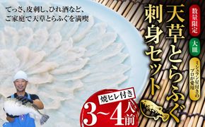 【数量限定】 【大皿】 【ミシュラン星付きのプロが愛用】 天草 とらふぐ 刺身 セット 3~4人前 焼ヒレ 付き 【2025年12月下旬～2026年3月下旬まで順次発送予定】ふぐ 河豚 フグ トラフグ 刺身 ふぐ刺し 皮刺し ひれ酒