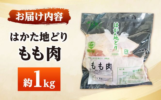 はかた地どり もも肉(約1kg)《築上町》【吉浦コーポレーション】 はかた地どり もも肉 鶏肉 地鶏 国産[ABFF002]