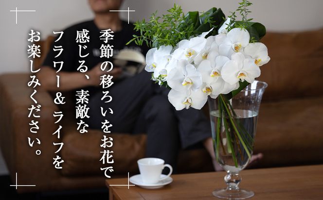 【「毎週」届く、旬の花束（52回／1年間）【「毎週」届く、旬の花束 52回 世界らん展 フラワードリームジャパンカップ 国内主要コンテスト受賞 贈り物 お花の定期便 １年間届く花束 フラワーライフ 神奈川県 小田原市 】 142069_BN048