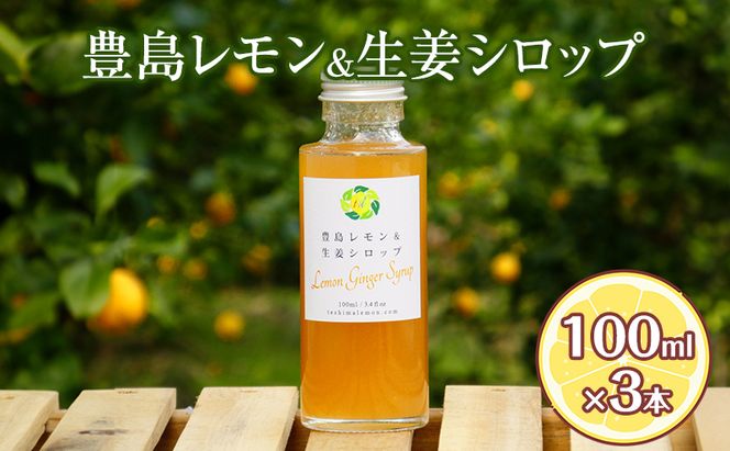 豊島レモン＆生姜シロップ 100ml×3本 果物類 柑橘類 檸檬 シロップ