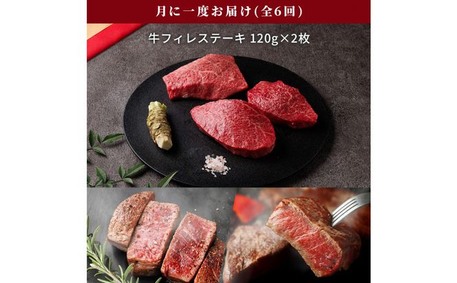 993.【和牛セレブ（6ヶ月定期便）】鳥取県産牛ヒレステーキ2枚×6か月間 313726_BM024