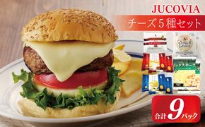 010B1641 【ムラカワチーズ】JUCOVIA スライスチーズ3種・シュレッドチーズ2種セット 合計9P【食べ比べ セット 詰め合わせ 小分け 普段使い 高評価 ちーず】