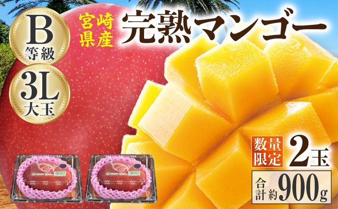 【2027年発送】【数量限定】宮崎県産 完熟マンゴー B等級 3Lサイズ×2玉（約900g）_kn056-017