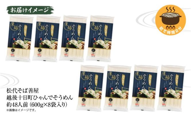 ひゃんで そうめん 600g 8袋 約48人前 素麺 ソーメン 干しそうめん にゅうめん ファミリー 麺 乾めん 自家用 お中元 お歳暮 お取り寄せ 備蓄 保存 便利 ギフト 越後 魚沼 常温 松代そば善屋 新潟県 十日町市