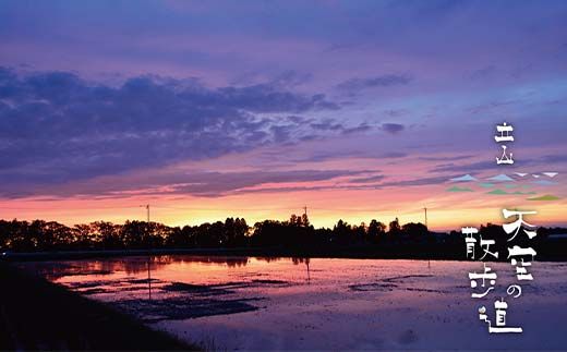 【先行予約】令和8年産 立山 天空の散歩道 吟撰米 特吟 精米 5kg 立山天空米 低温精米 国産 米 お米 日本米 ギフト 贈り物 備蓄 防災 食品 F6T-550