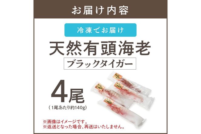 【C-136】特大 天然海老(有頭･4尾)