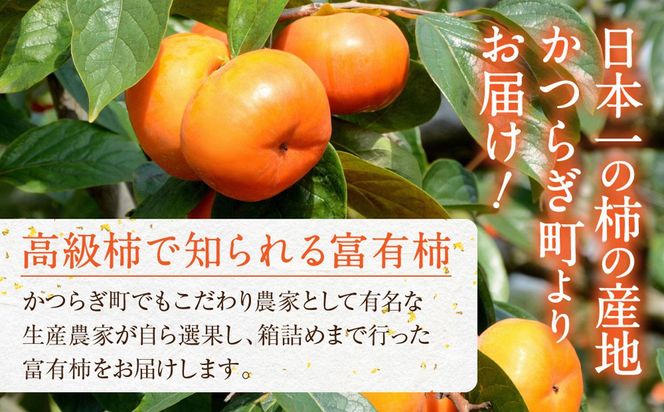 先行予約 富有柿 秀品6～8個入り こだわり農家厳選［2026年11月初旬頃から12月上旬頃順次発送］［KG25］ 303446_XM90025