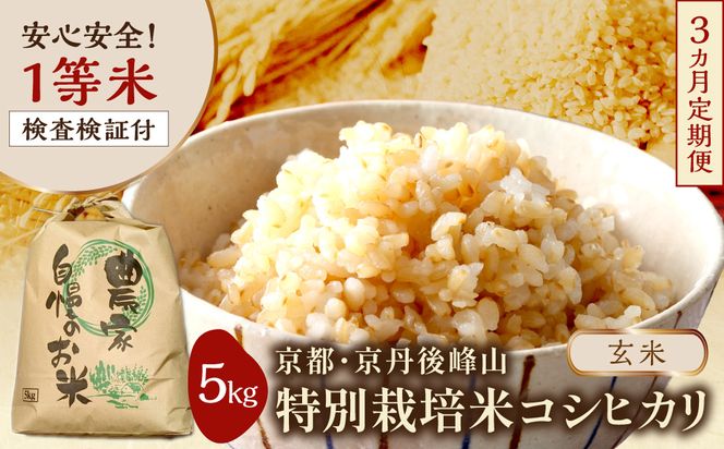 【3ヶ月定期便】2026年産 京都・京丹後峰山 特別栽培米コシヒカリ 5kg 【玄米】 1等米 検査済証付　ふるさと納税 米 玄米 定期便 京都 コシヒカリ 特別栽培 ふるさと納税 玄米 定期便　MF00087