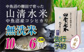 【令和8年産 先行予約】【定期便／全6回】無洗米10kg 新潟県魚沼産コシヒカリ「山清水米」