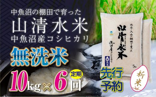 【令和8年産 先行予約】【定期便／全6回】無洗米10kg 新潟県魚沼産コシヒカリ「山清水米」