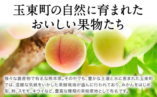 玉東町の自然に育まれたハニーローザをジャムに！【ハニーローザ】コンフィチュールセット 選べる 2個 3個 熊本県玉名郡玉東町 ぷらっとぎょくとう《60日以内に出荷予定(土日祝除く)》---gkt_prt_18_2k---