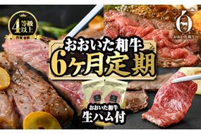 ＜定期便・全6回(連続)＞豊後牛・おおいた和牛定期便(総量2.4kg) 牛肉 国産 和牛 焼肉 切り落とし ヒレ ヒレ肉 ステーキ ロース すき焼き しゃぶしゃぶ 大分県 佐伯市 【FW015】【ミートクレスト】