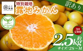 【3回定期便】ふじ農園の露地みかん 訳あり品 2.5kg(2S～M)  国産 小玉 蜜柑 ミカン 柑橘 果物 フルーツ 訳アリ ご家庭用 自宅用 ふじ農園 高知県 香南市 Wfn-0020