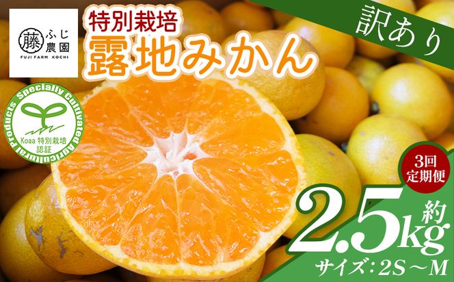 【3回定期便】ふじ農園の露地みかん 訳あり品 2.5kg(2S～M)  国産 小玉 蜜柑 ミカン 柑橘 果物 フルーツ 訳アリ ご家庭用 自宅用 ふじ農園 高知県 香南市 Wfn-0020