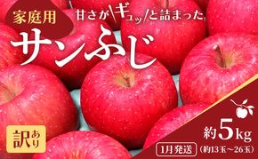 1月発送 家庭用 サンふじ 約5kg【訳あり】【原正りんご 青森県産 津軽産 リンゴ 林檎】 果物類 希少 葉取らず 完熟 安心 丸かじり 甘い 高糖度 