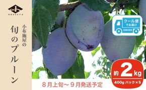 長野県産 旬のプルーン 約2kg ［小布施屋］ 生プルーン 果物 フルーツ 令和7年産 【2025年8月上旬～9月発送】 ［A-219］